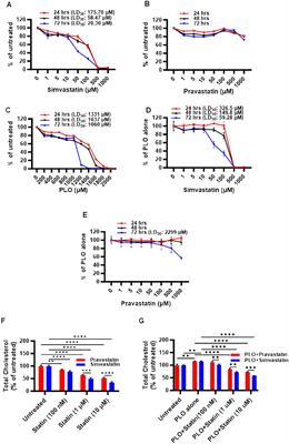 Comparative efficacy, toxicity, and insulin-suppressive effects of simvastatin and pravastatin in fatty acid-challenged mouse insulinoma MIN6 β-cell model